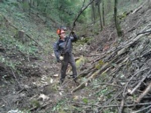 10653650_783346831724543_4540553873683142869_n